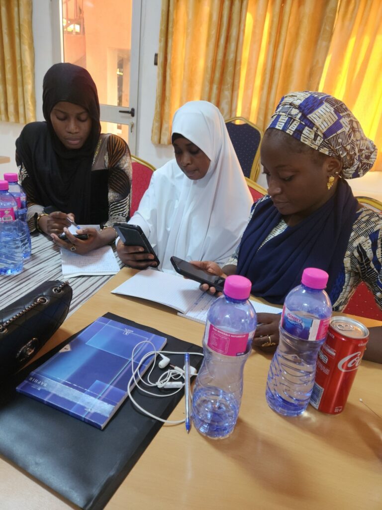 Formation sur le Web Activisme, la Cybersécurité et la Monétisation responsable_Le digital comme levier d'autonomisation économique des jeunes filles vivant à Niamey (3)